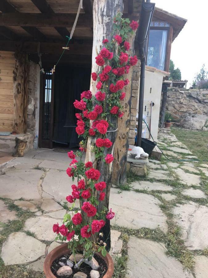 Valbona Monolocal Rural Con Encanto מראה חיצוני תמונה